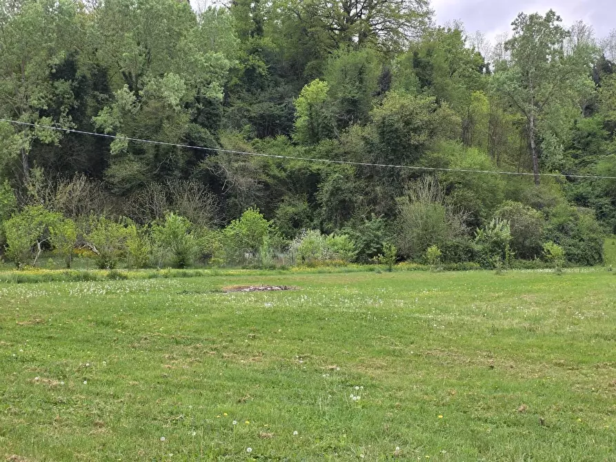 Immagine 76 di Casa indipendente in vendita  a Crespina Lorenzana