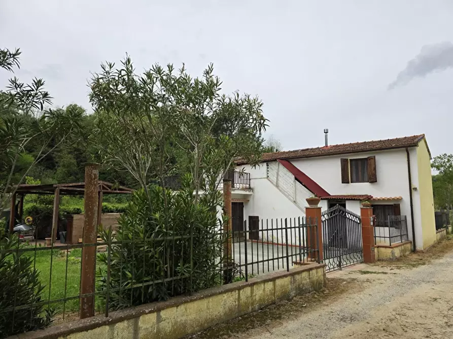 Immagine 1 di Casa indipendente in vendita  a Crespina Lorenzana