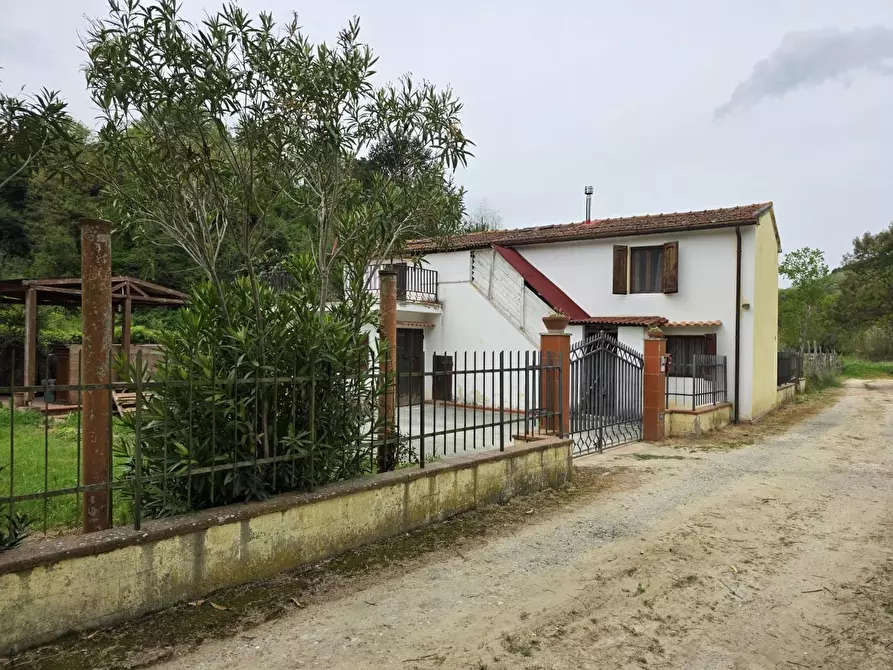 Immagine 83 di Casa indipendente in vendita  a Crespina Lorenzana