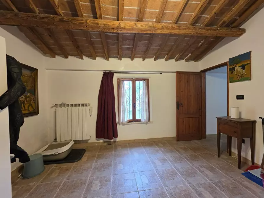 Immagine 18 di Casa indipendente in vendita  a Crespina Lorenzana