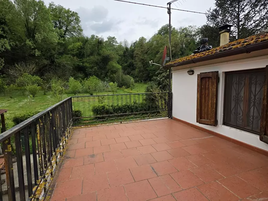 Immagine 15 di Casa indipendente in vendita  a Crespina Lorenzana