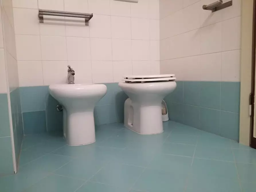 Immagine 20 di Appartamento in affitto  a Camaiore