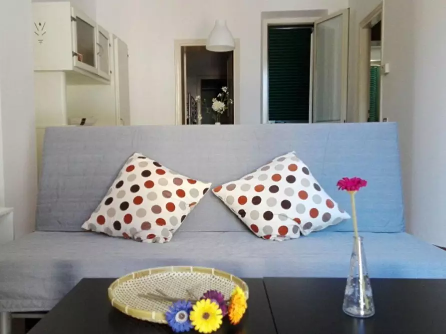 Immagine 2 di Appartamento in affitto  a Camaiore