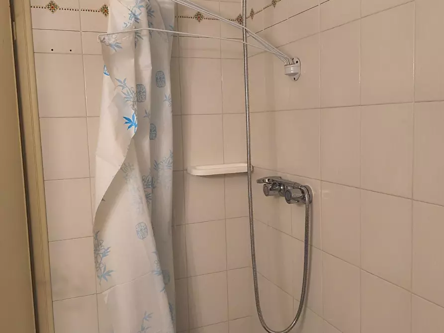 Immagine 22 di Appartamento in affitto  a Camaiore