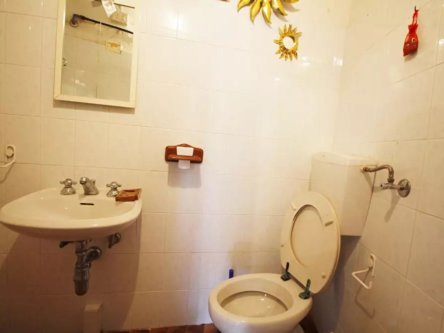 Immagine 16 di Casa colonica in vendita  a Vinci
