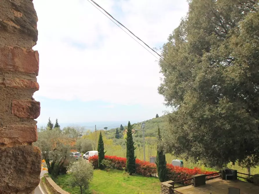 Immagine 19 di Casa colonica in vendita  a Vinci