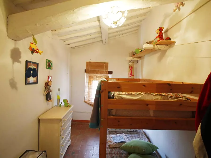 Immagine 17 di Casa colonica in vendita  a Vinci
