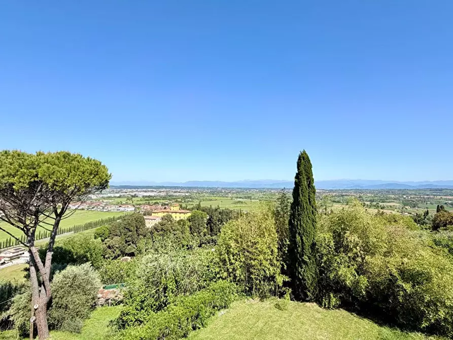 Immagine 65 di Villa in vendita  a San Miniato