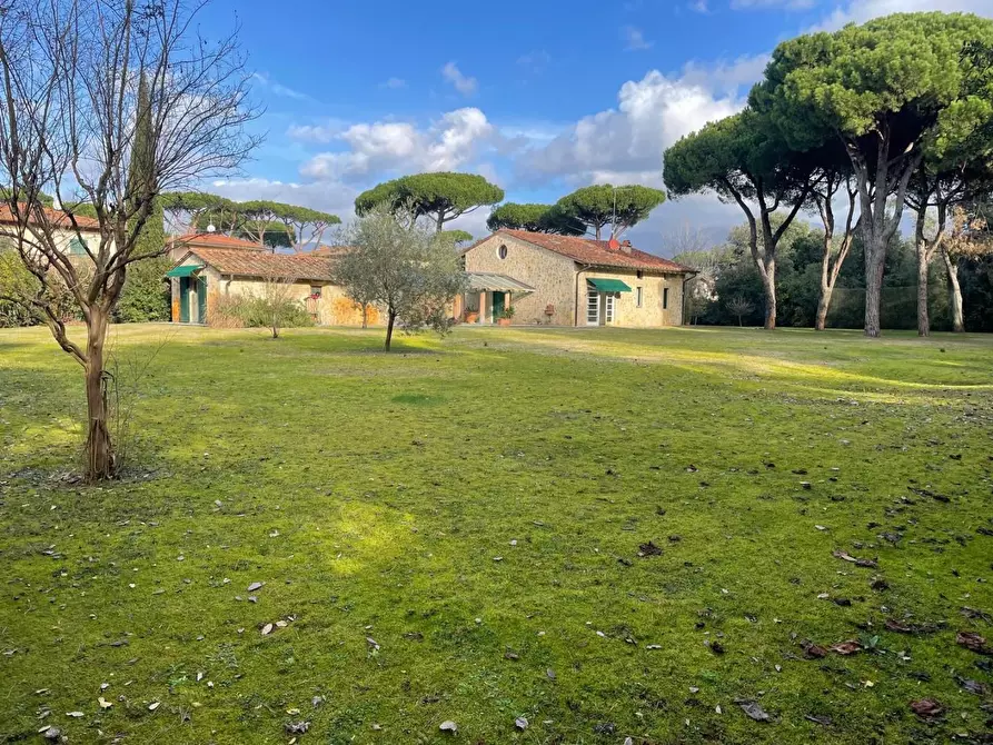 Immagine 4 di Villa in affitto  a Pietrasanta