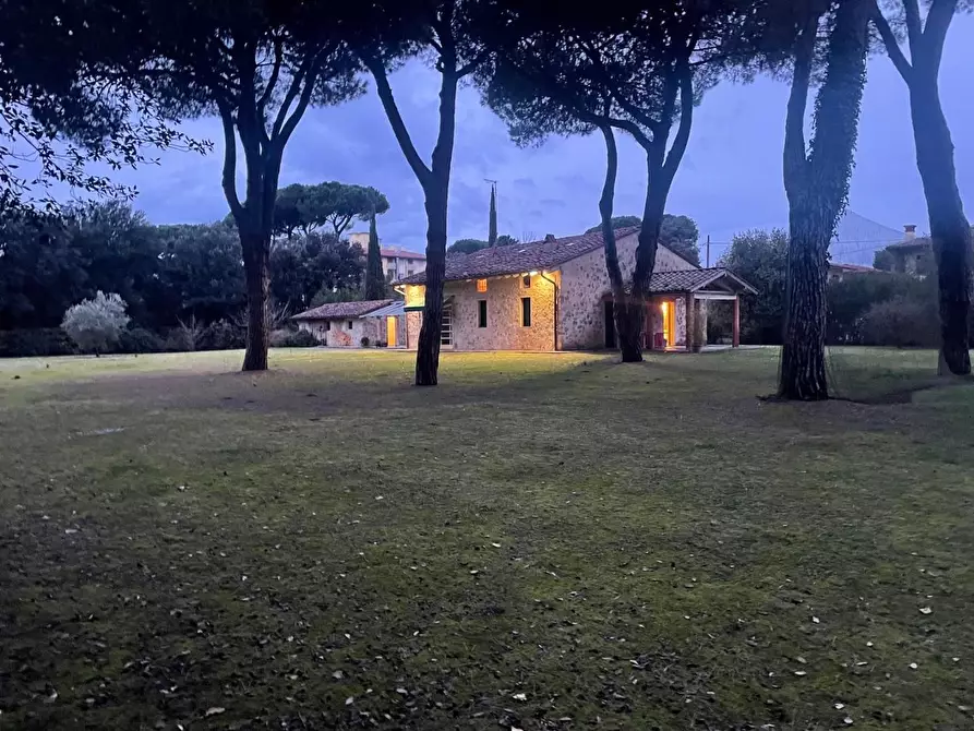 Immagine 6 di Villa in affitto  a Pietrasanta