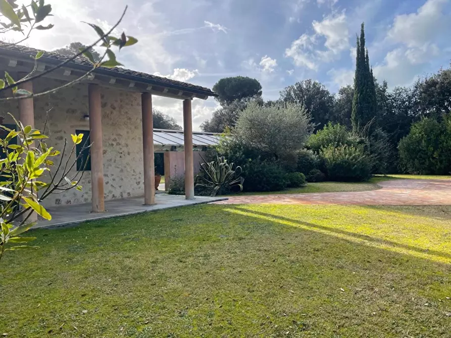 Immagine 5 di Villa in affitto  a Pietrasanta