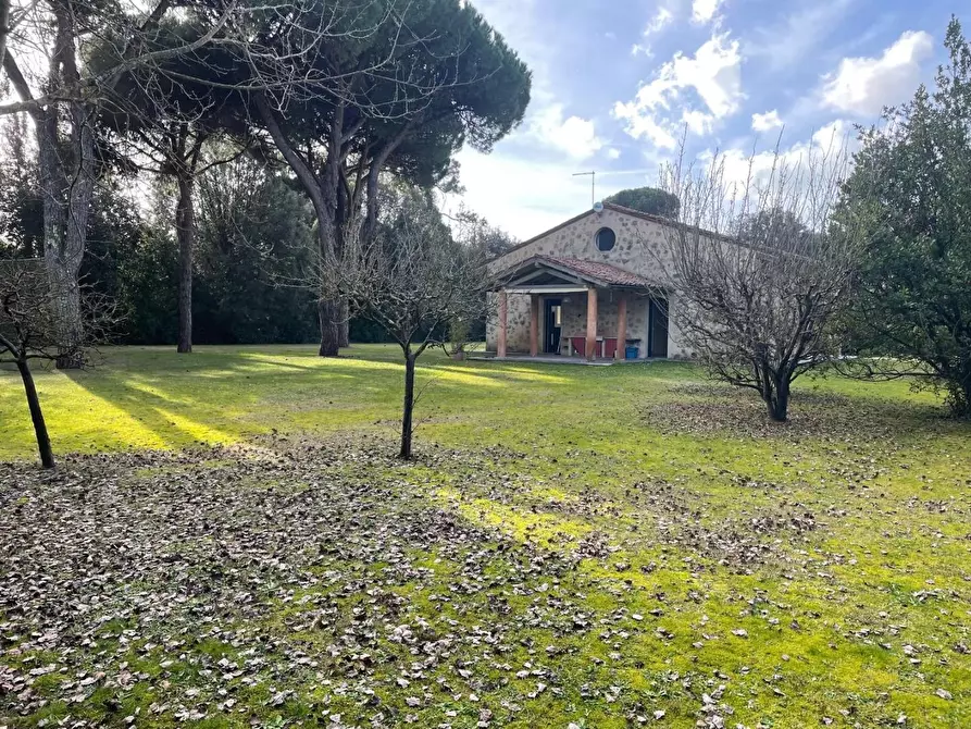 Immagine 2 di Villa in affitto  a Pietrasanta