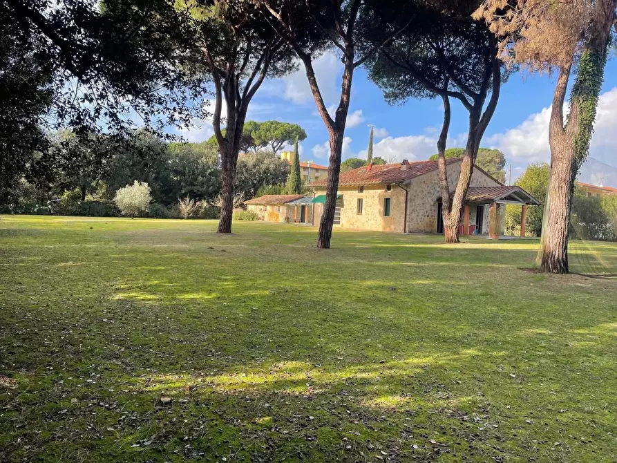 Immagine 3 di Villa in affitto  a Pietrasanta