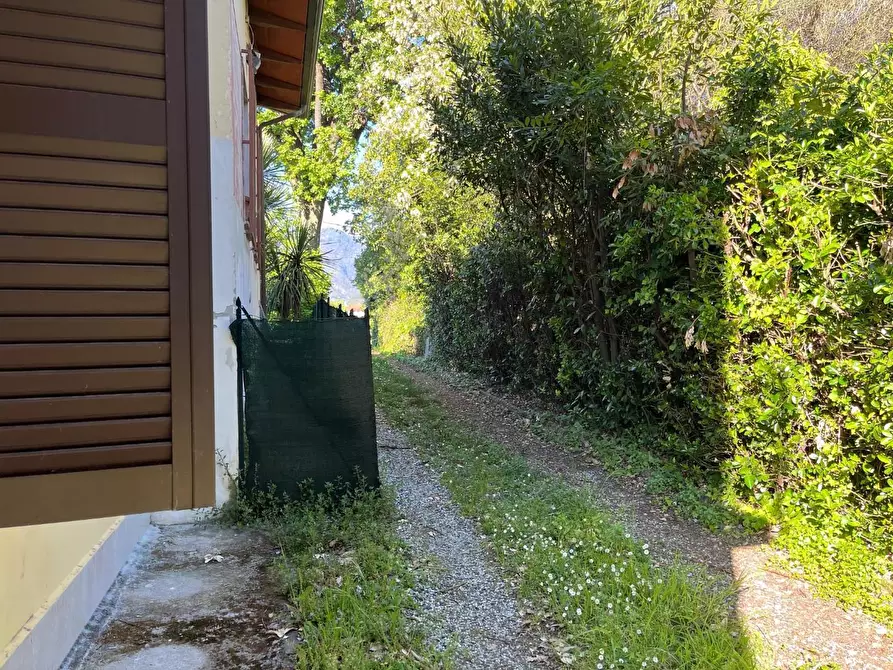 Immagine 3 di Casa semindipendente in vendita  a Massa