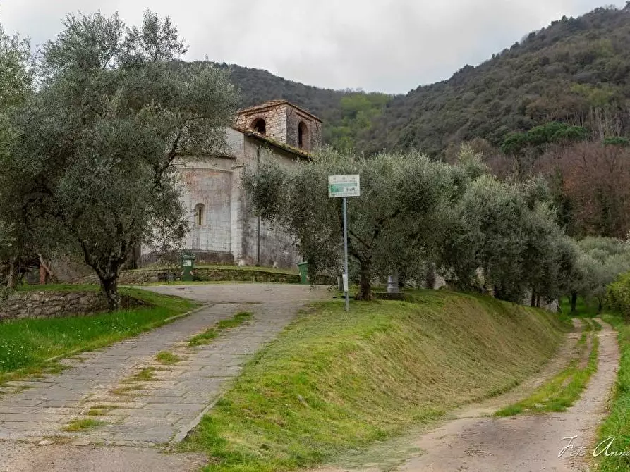 Immagine 82 di Casa colonica in vendita  a Lucca