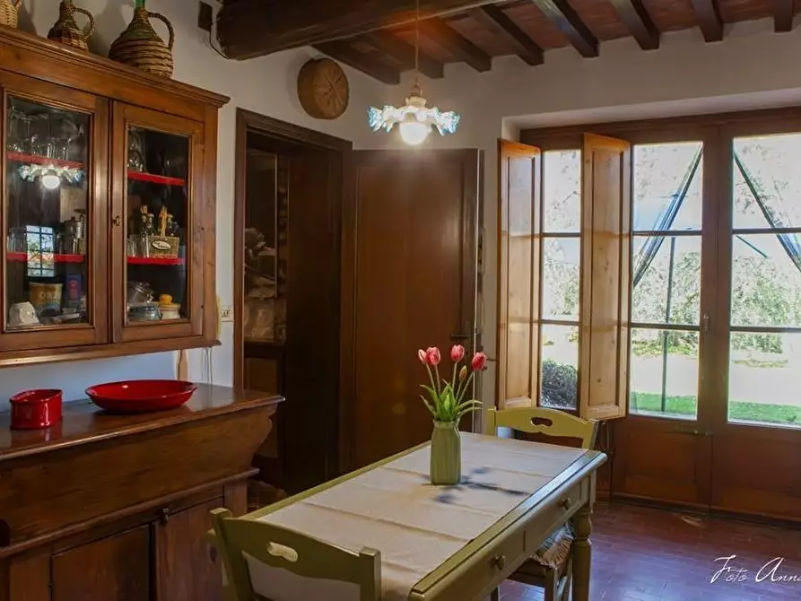 Immagine 21 di Casa colonica in vendita  a Lucca