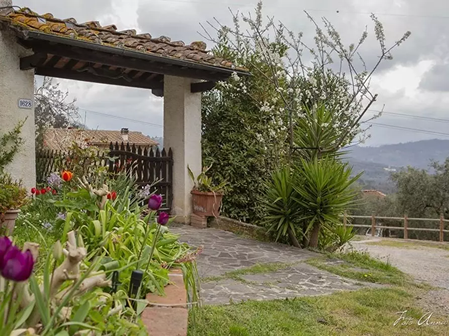 Immagine 3 di Casa colonica in vendita  a Lucca