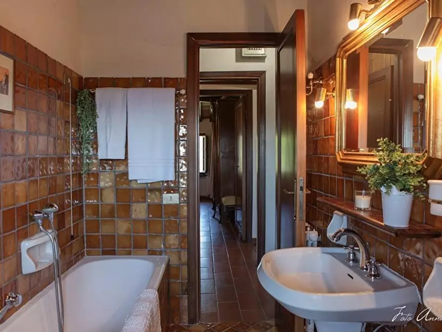 Immagine 70 di Casa colonica in vendita  a Lucca