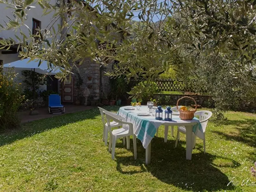 Immagine 11 di Casa colonica in vendita  a Lucca