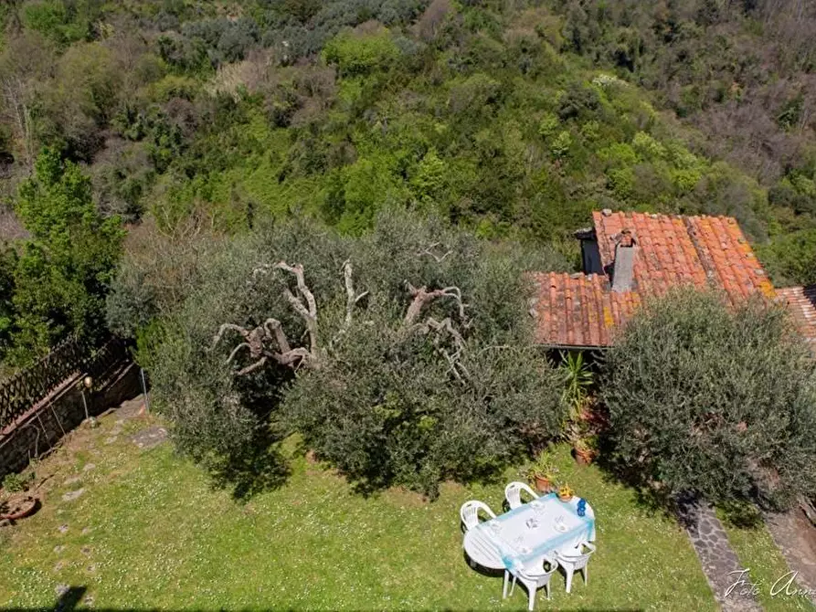 Immagine 72 di Casa colonica in vendita  a Lucca