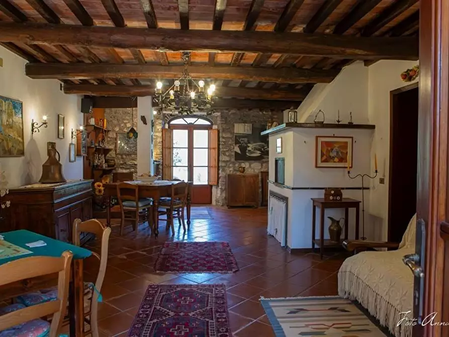 Immagine 27 di Casa colonica in vendita  a Lucca