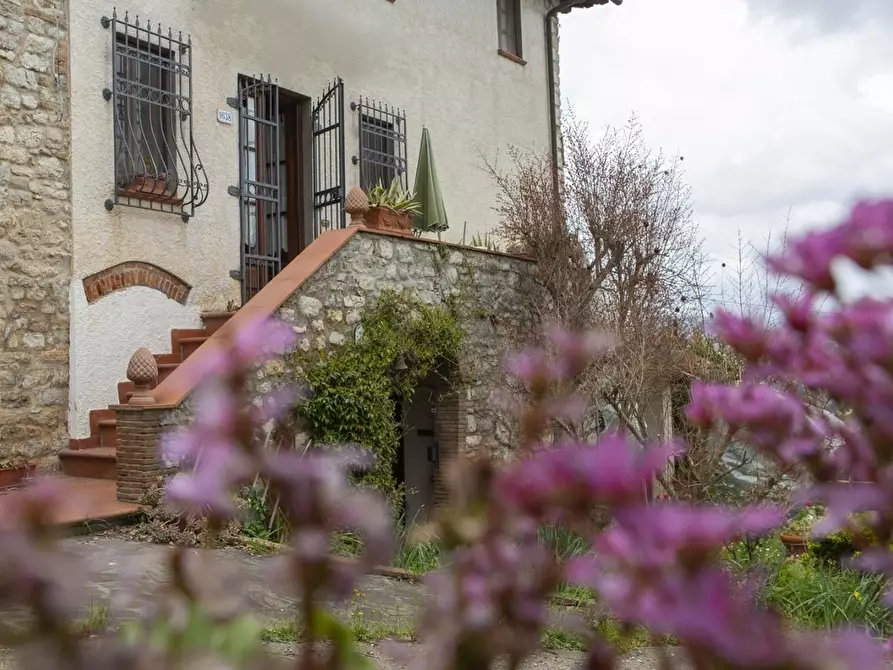 Immagine 1 di Casa colonica in vendita  a Lucca