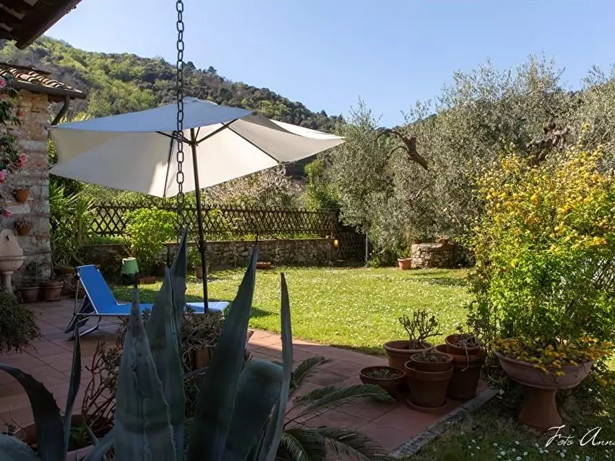 Immagine 5 di Casa colonica in vendita  a Lucca