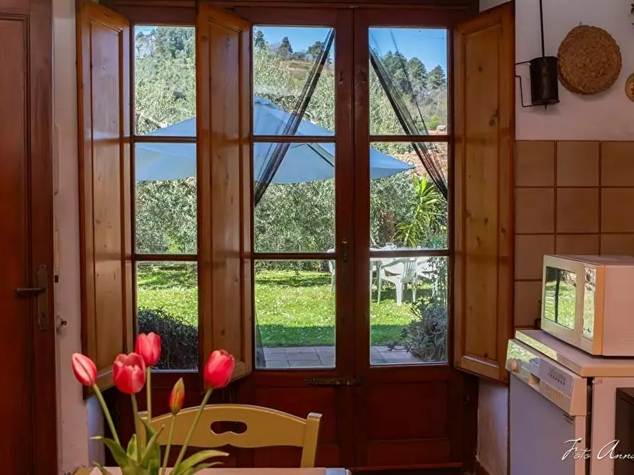 Immagine 19 di Casa colonica in vendita  a Lucca