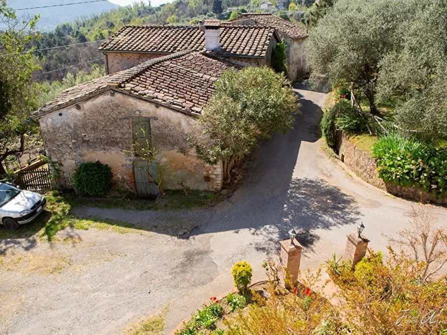Immagine 78 di Casa colonica in vendita  a Lucca