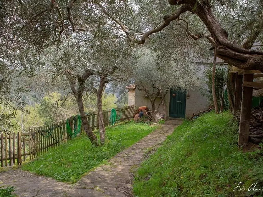 Immagine 17 di Casa colonica in vendita  a Lucca