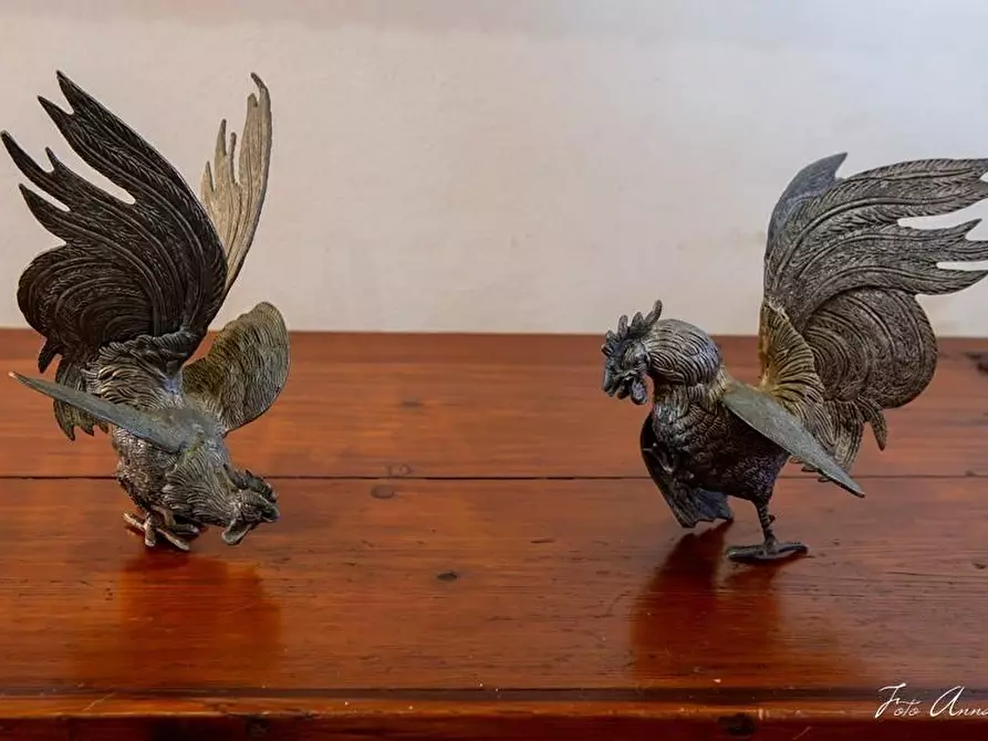 Immagine 40 di Casa colonica in vendita  a Lucca
