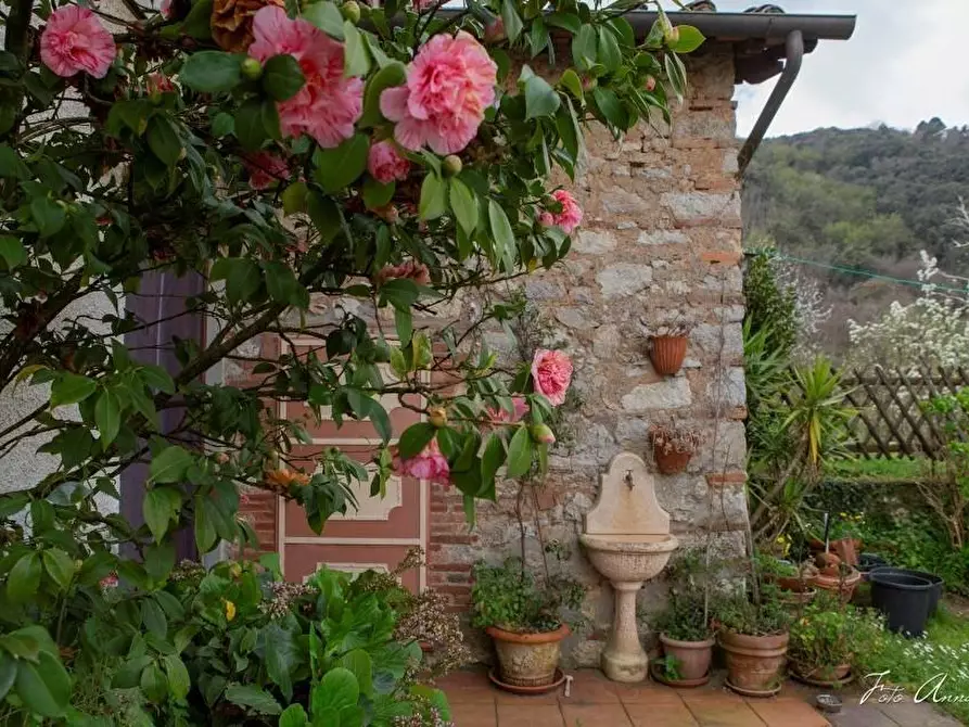 Immagine 6 di Casa colonica in vendita  a Lucca