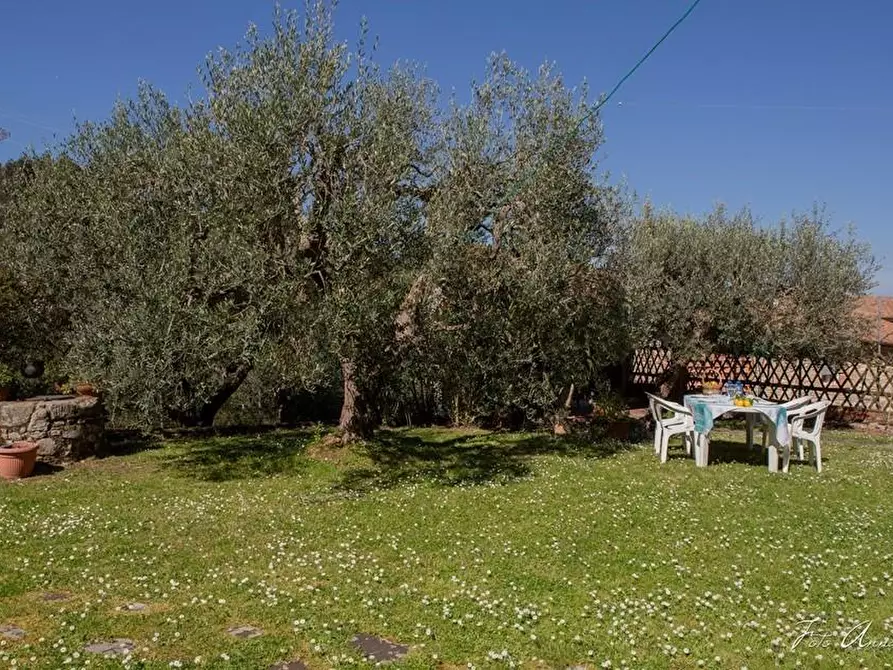 Immagine 14 di Casa colonica in vendita  a Lucca