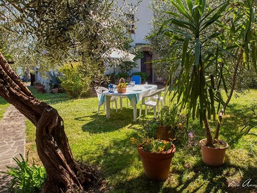 Immagine 8 di Casa colonica in vendita  a Lucca