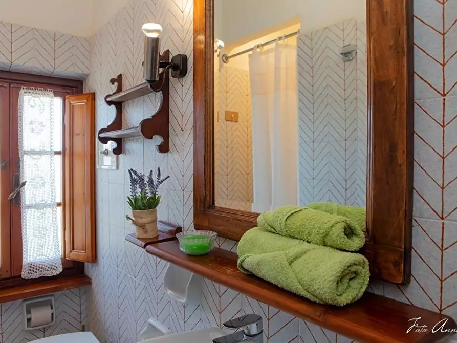 Immagine 58 di Casa colonica in vendita  a Lucca