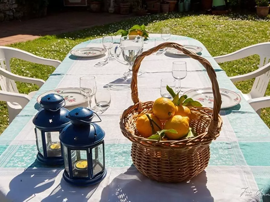 Immagine 9 di Casa colonica in vendita  a Lucca