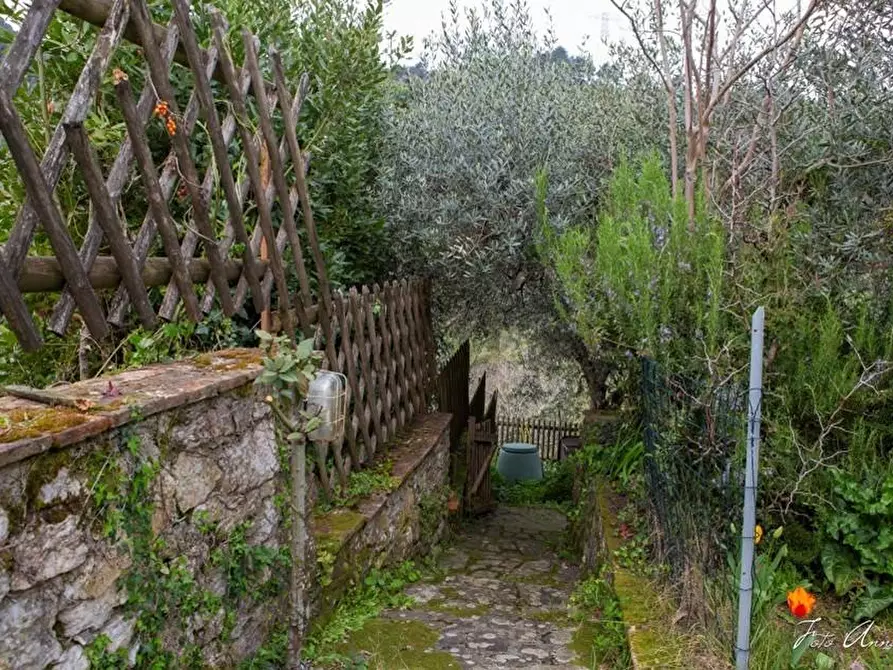 Immagine 16 di Casa colonica in vendita  a Lucca