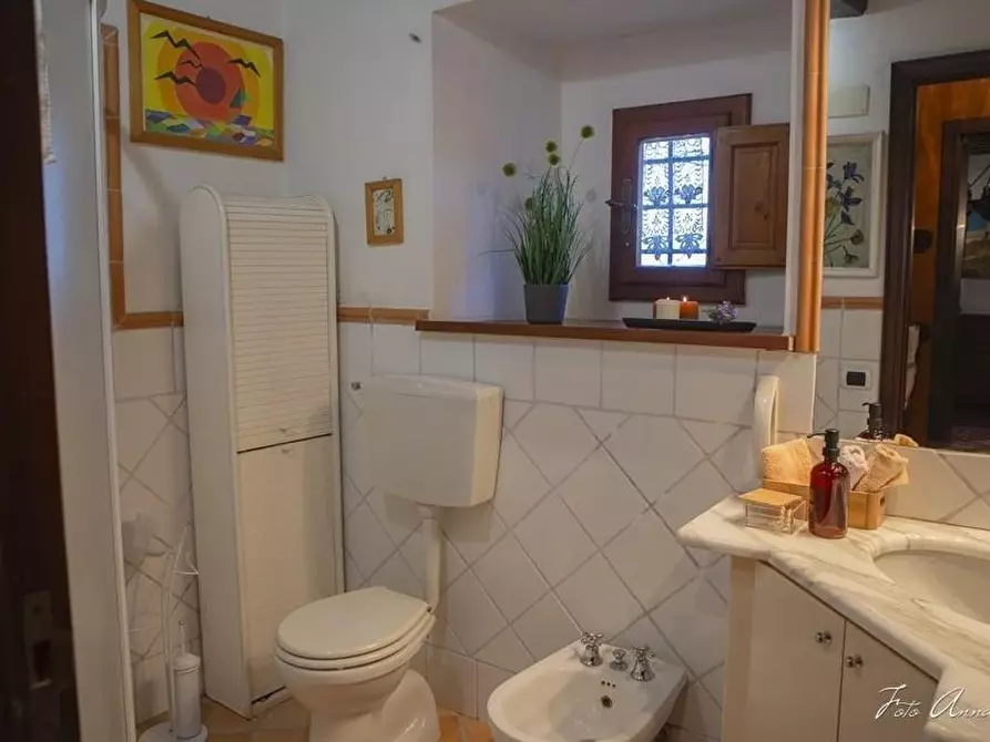 Immagine 33 di Casa colonica in vendita  a Lucca