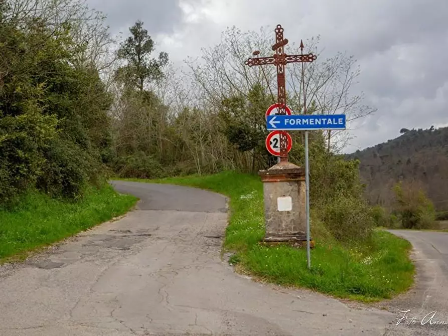 Immagine 84 di Casa colonica in vendita  a Lucca