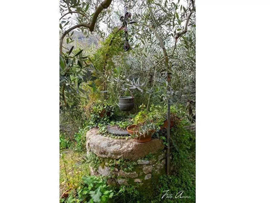 Immagine 15 di Casa colonica in vendita  a Lucca