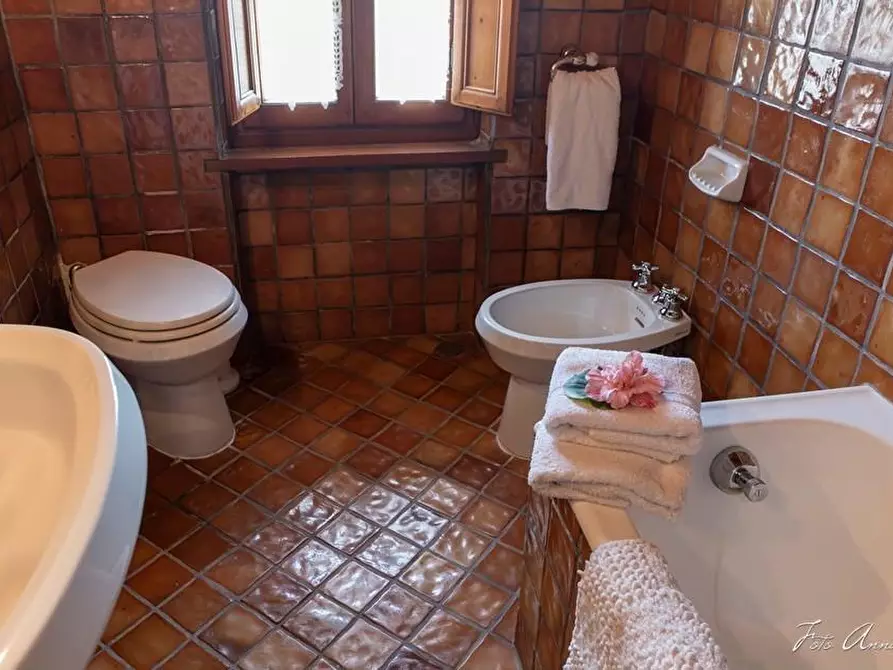 Immagine 68 di Casa colonica in vendita  a Lucca
