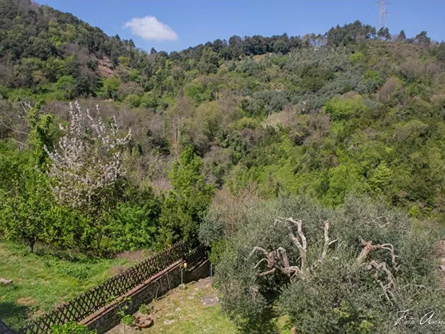 Immagine 73 di Casa colonica in vendita  a Lucca
