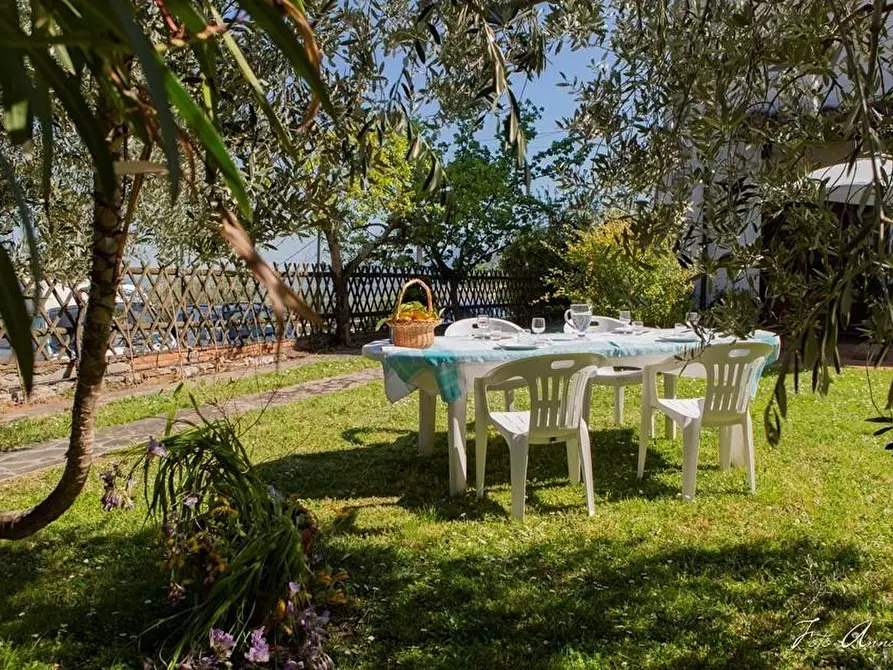 Immagine 10 di Casa colonica in vendita  a Lucca