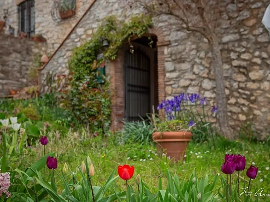 Immagine 2 di Casa colonica in vendita  a Lucca