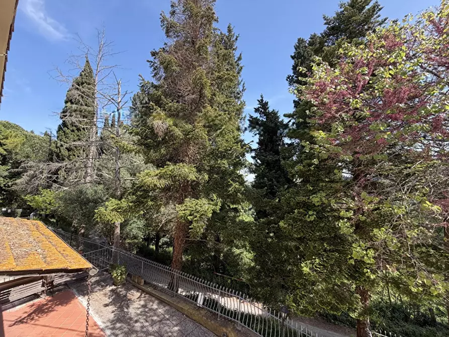 Immagine 31 di Porzione di casa in vendita  a Montopoli In Val D'arno