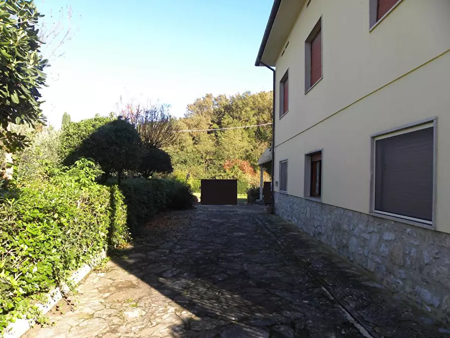 Immagine 9 di Villa in vendita  a Capannori