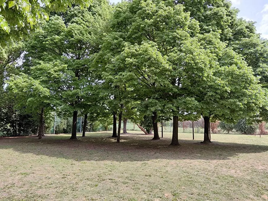 Immagine 16 di Appartamento in vendita  a Pisa