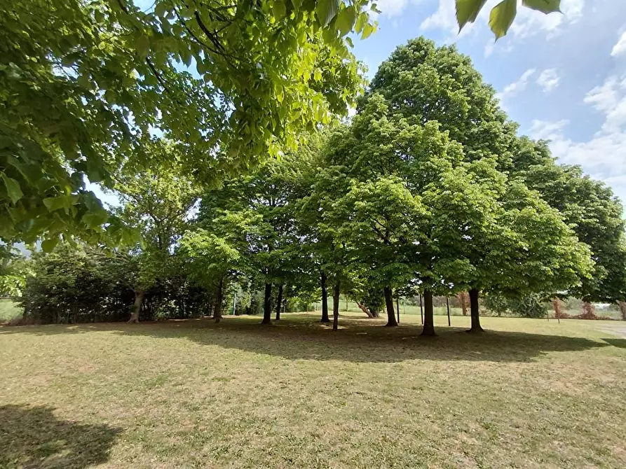 Immagine 14 di Appartamento in vendita  a Pisa