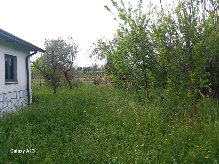 Immagine 16 di Terreno agricolo in vendita  a Castelnuovo Magra