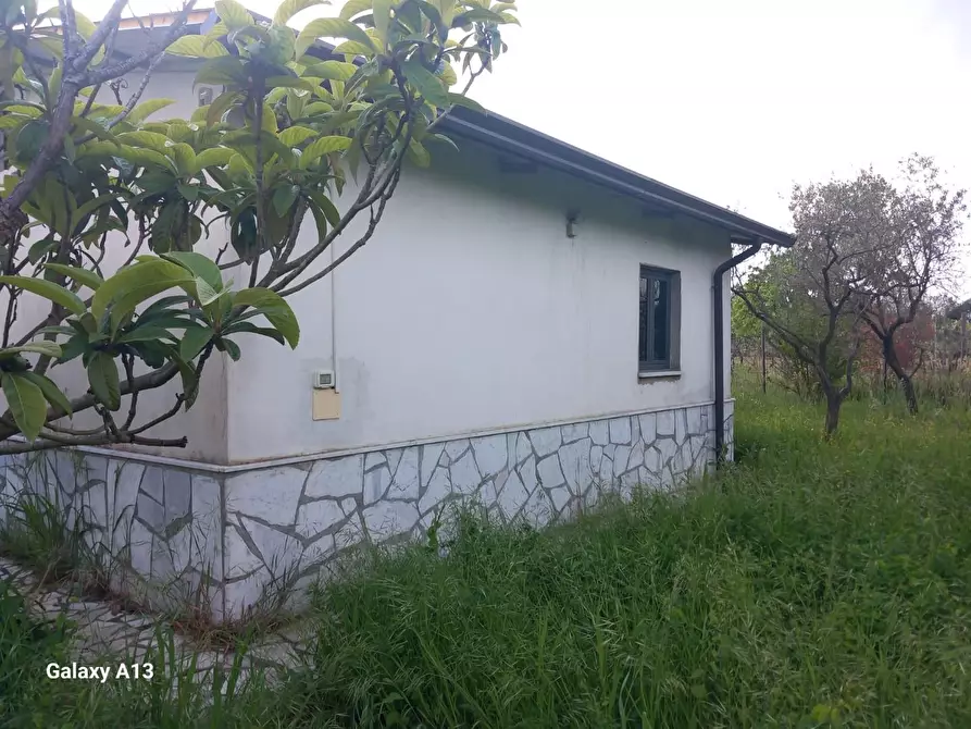 Immagine 8 di Terreno agricolo in vendita  a Castelnuovo Magra